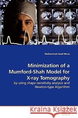 Minimization of a Mumford-Shah Model for X-ray Tomography Meraj, Muhammad Asad 9783639247541