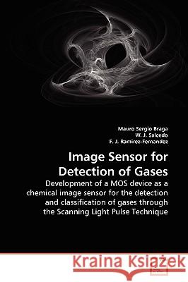 Image Sensor for Detection of Gases Mauro Sergio Braga, W J Salcedo, F J Ramirez-Fernandez 9783639256482