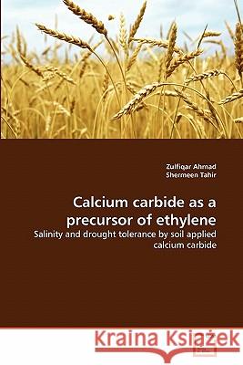 Calcium carbide as a precursor of ethylene Ahmad, Zulfiqar 9783639303995 VDM Verlag