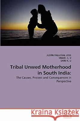 Tribal Unwed Motherhood in South India Justin Pallicka Vinod C Sabu K 9783639355871 VDM Verlag