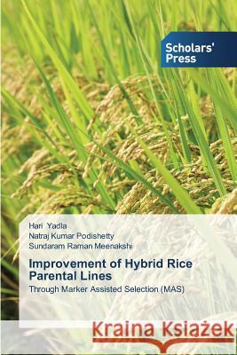 Improvement of Hybrid Rice Parental Lines Yadla Hari 9783639714982 Scholars' Press