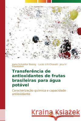 Transferência de antioxidantes de frutas brasileiras para água potável Schuelter Boeing Joana 9783639741063 Novas Edicoes Academicas