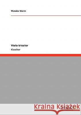 Viola tricolor Theodor Storm 9783640227990 Grin Verlag