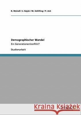 Demographischer Wandel: Ein Generationenkonflikt? Meindl, R. 9783640304035 Grin Verlag