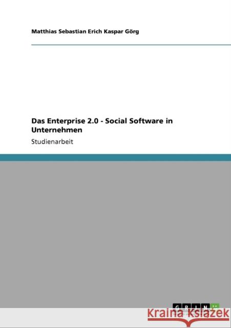 Das Enterprise 2.0 - Social Software in Unternehmen Matthias Sebastian Erich Kaspar G 9783640307326 Grin Verlag