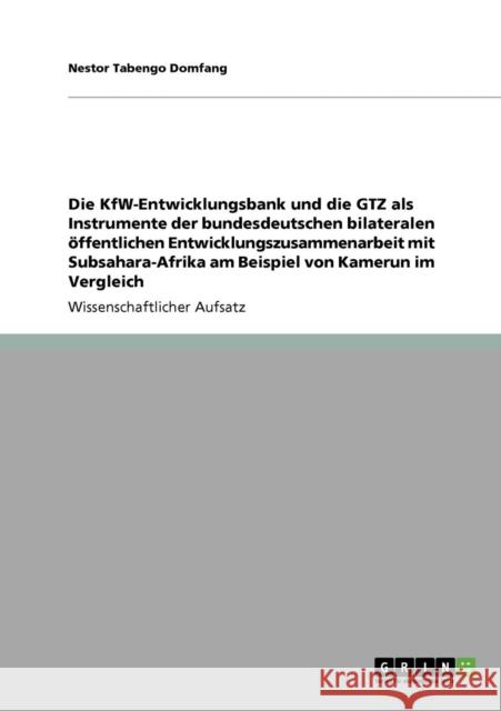 Die KfW-Entwicklungsbank und die GTZ als Instrumente der bundesdeutschen bilateralen öffentlichen Entwicklungszusammenarbeit mit Subsahara-Afrika am B Tabengo Domfang, Nestor 9783640736782 Grin Verlag