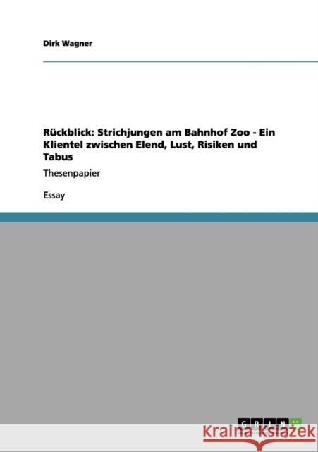 Rückblick: Strichjungen am Bahnhof Zoo - Ein Klientel zwischen Elend, Lust, Risiken und Tabus: Thesenpapier Wagner, Dirk 9783640969197