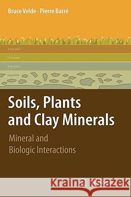 Soils, Plants and Clay Minerals: Mineral and Biologic Interactions Velde, Pierre 9783642034985