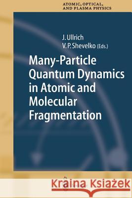 Many-Particle Quantum Dynamics in Atomic and Molecular Fragmentation Joachim Ullrich V. P. Shevelko 9783642056260 Not Avail