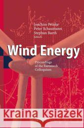 Wind Energy: Proceedings of the Euromech Colloquium Peinke, Joachim 9783642070402
