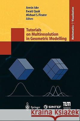 Tutorials on Multiresolution in Geometric Modelling: Summer School Lecture Notes Iske, Armin 9783642078194 Not Avail