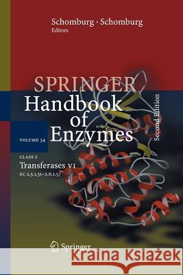 Class 2 Transferases VII: EC 2.5.1.31 - 2.6.1.57 Schomburg, Dietmar 9783642431760 Springer