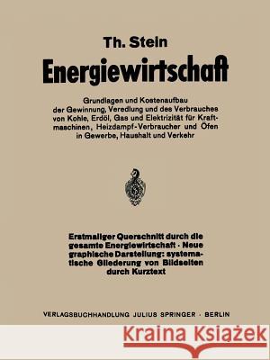 Energiewirtschaft: Grundlagen Und Kostenaufbau Der Gewinnung, Veredlung Und Des Verbrauches Von Kohle, Erdöl, Gas Und Elektrizität Für Kr Stein, Th 9783642472992