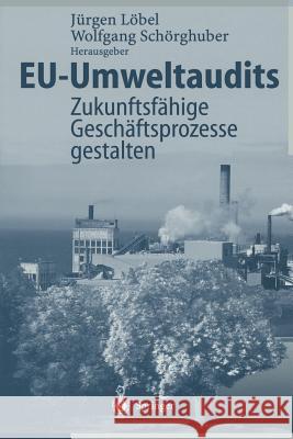 Eu-Umweltaudits: Zukunftsfähige Geschäftsprozesse Gestalten Löbel, Jürgen 9783642644634 Springer