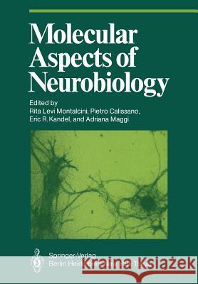 Molecular Aspects of Neurobiology Rita Levi-Montalcini Pietro Calissano Eric R. Kandel 9783642706929 Springer