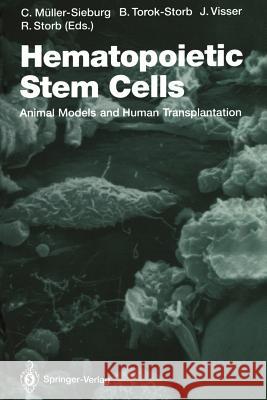 Hematopoietic Stem Cells: Animal Models and Human Transplantation Müller-Sieburg, Christa E. 9783642769146 Springer