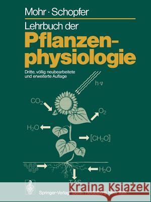Lehrbuch Der Pflanzenphysiologie Mohr, Hans 9783642964541