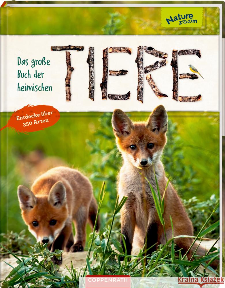 Das große Buch der heimischen Tiere Haag, Holger, Baier, Katja, Oftring, Bärbel 9783649640783 Coppenrath, Münster
