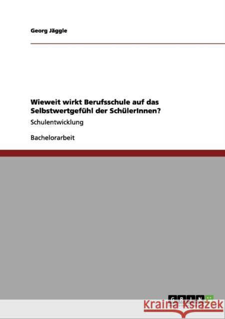 Wieweit wirkt Berufsschule auf das Selbstwertgefühl der SchülerInnen?: Schulentwicklung Jäggle, Georg 9783656080381 Grin Verlag