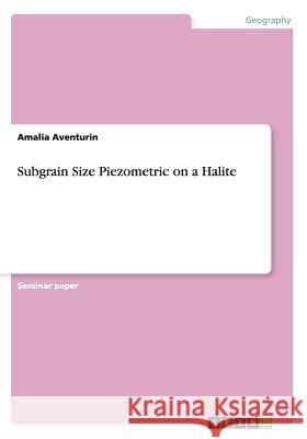 Subgrain Size Piezometric on a Halite Amalia Aventurin 9783656644705