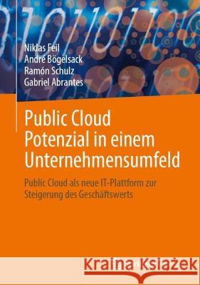 Public Cloud Potenzial in Einem Unternehmensumfeld: Public Cloud ALS Neue It-Plattform Zur Steigerung Des Gesch?ftswerts Niklas Feil Andr? B?gelsack Ram?n Schulz 9783658426644
