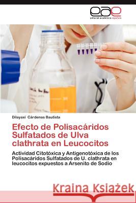 Efecto de Polisacaridos Sulfatados de Ulva Clathrata En Leucocitos Dilayaxi C 9783659032806 Editorial Acad Mica Espa Ola