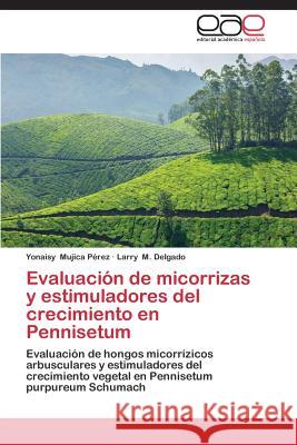 Evaluación de micorrizas y estimuladores del crecimiento en Pennisetum Mujica Pérez, Yonaisy 9783659037368 Editorial Academica Espanola