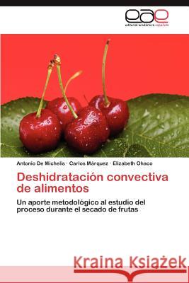 Deshidratacion Convectiva de Alimentos Antonio D Carlos M Elizabeth Ohaco 9783659045035 Editorial Acad Mica Espa Ola