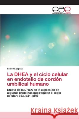 La DHEA y el ciclo celular en endotelio de cordón umbilical humano Zapata, Estrella 9783659075636 Editorial Academica Espanola