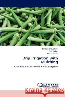 Drip Irrigation with Mulching Santosh Choudhary P. K. Yadav Atul Chandra 9783659130908 LAP Lambert Academic Publishing