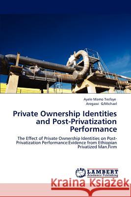 Private Ownership Identities and Post-Privatization Performance Ayele Mam Aregawi G/Michael 9783659171475 LAP Lambert Academic Publishing