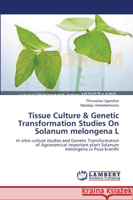 Tissue Culture & Genetic Transformation Studies On Solanum melongena L Ugandhar, Thirunahari 9783659207389 LAP Lambert Academic Publishing