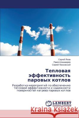 Teplovaya Effektivnost' Parovykh Kotlov Yanov Sergey 9783659275111 LAP Lambert Academic Publishing