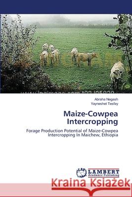 Maize-Cowpea Intercropping Abraha Negash, Yayneshet Tesfay 9783659385063 LAP Lambert Academic Publishing