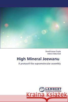 High Mineral Jeewanu Gupta Vinod Kumar 9783659414091