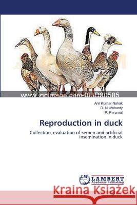 Reproduction in duck Nahak, Anil Kumar 9783659547584 LAP Lambert Academic Publishing