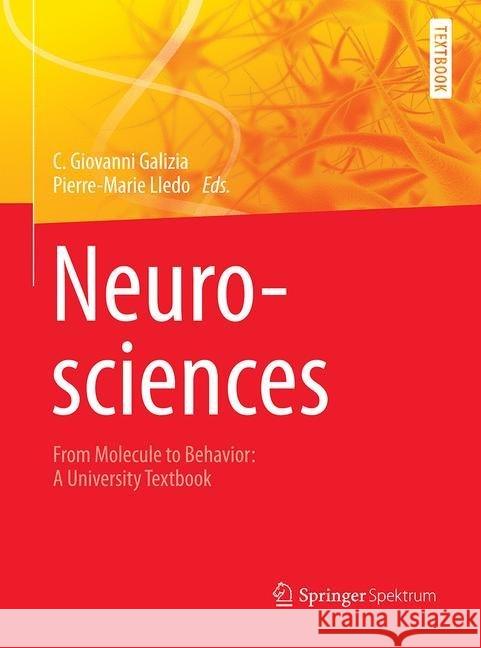 Neurosciences - From Molecule to Behavior: A University Textbook Galizia, C. Giovanni 9783662518816 Springer Spektrum