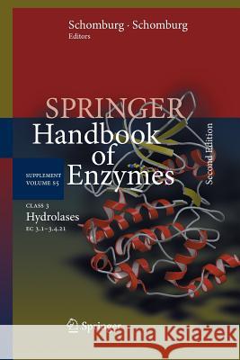 Springer Handbk of Enzymes: Supplement Vol S5 Class 3 Hydrolases Chang, Antje 9783662518847