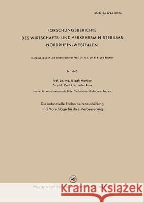 Die Industrielle Facharbeiterausbildung Und Vorschläge Für Ihre Verbesserung Mathieu, Joseph 9783663034483 Vs Verlag Fur Sozialwissenschaften