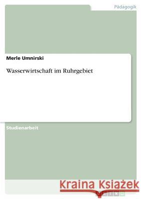 Wasserwirtschaft im Ruhrgebiet Merle Umnirski 9783668706781 Grin Verlag