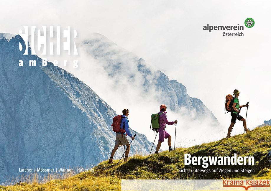 Sicher am Berg: Bergwandern Mössmer, Gerhard, Larcher, Michael, Wanner, Thomas 9783702240004