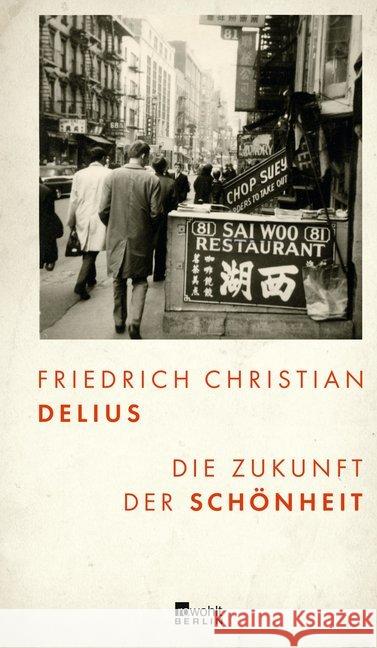 Die Zukunft der Schönheit Delius, Friedrich Christian 9783737100403 Rowohlt, Berlin