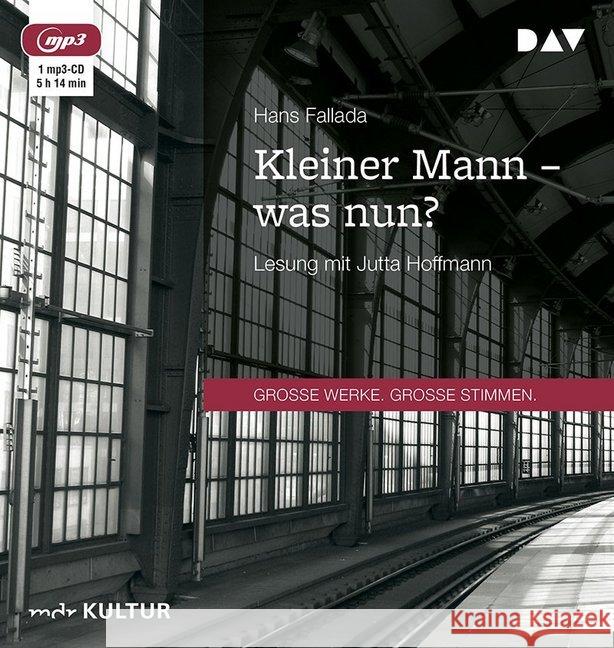 Kleiner Mann - was nun?, 1 MP3-CD : Lesung mit Jutta Hoffmann (1 mp3-CD), Lesung. MP3 Format Fallada, Hans 9783742404282