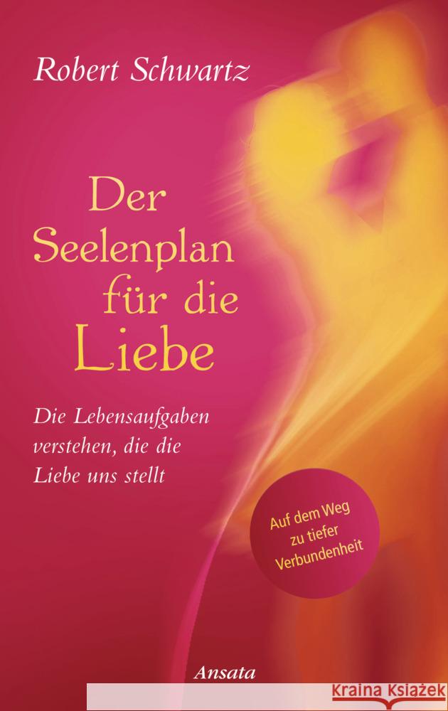 Der Seelenplan für die Liebe Schwartz, Robert 9783778775714