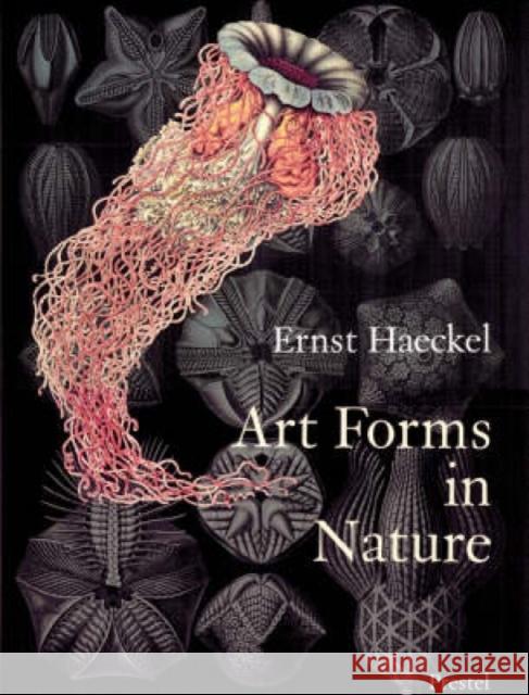 Art Forms in Nature: The Prints of Ernst Haeckel Olaf Breidbach Irenaus Eibl-Eibersfeldt 9783791319902 Prestel