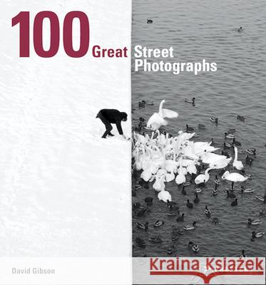 100 Great Street Photographs: Paperback Edition David Gibson 9783791384382 Prestel Publishing