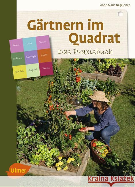 Gärtnern im Quadrat - Das Praxisbuch Nageleisen, Anne-Marie 9783800103843 Verlag Eugen Ulmer