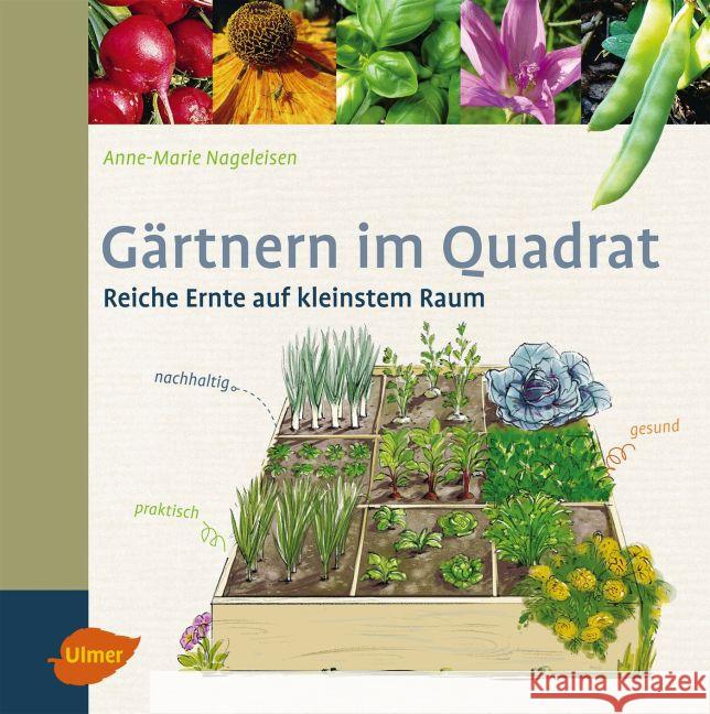 Gärtnern im Quadrat : Reiche Ernte auf kleinstem Raum Nageleisen, Anne-Marie 9783800133888 Verlag Eugen Ulmer
