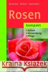 Rosen kompakt : Sorten, Verwendung, Pflege Brumme, Hella Dietze, Peter Haenchen, Eckart 9783800153794