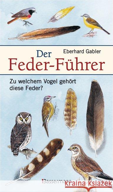 Der Feder-Führer : Zu welchem Vogel gehört diese Feder? Vögel Mitteleuropas an Ihren Federn erkennen Gabler, Eberhard 9783809431923 Bassermann